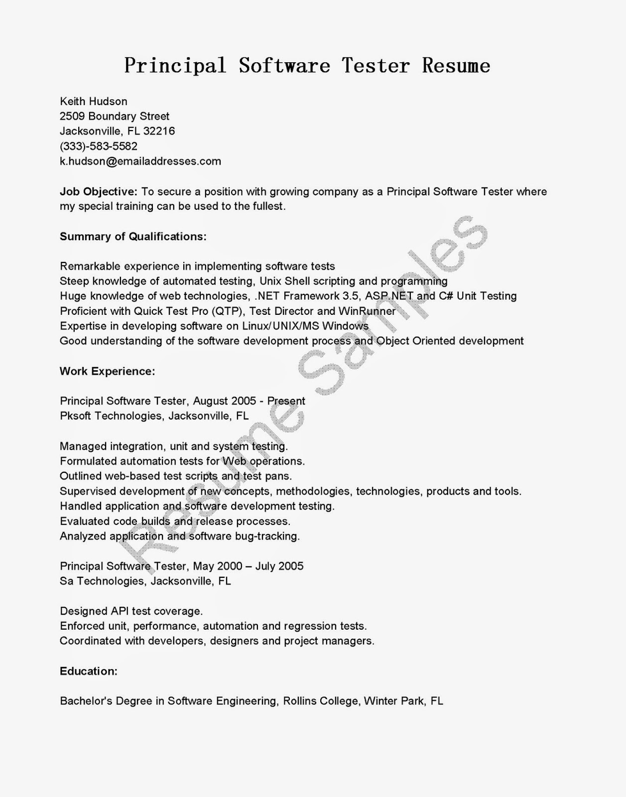 Director test resume example